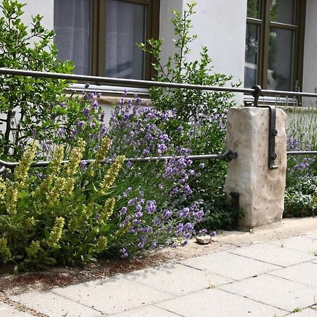 Ubytovani Na Statku Vedomice Eksteriør bilde